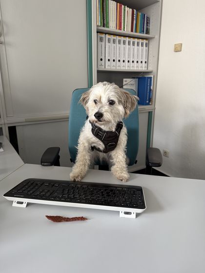 Flocke am Arbeitsplatz